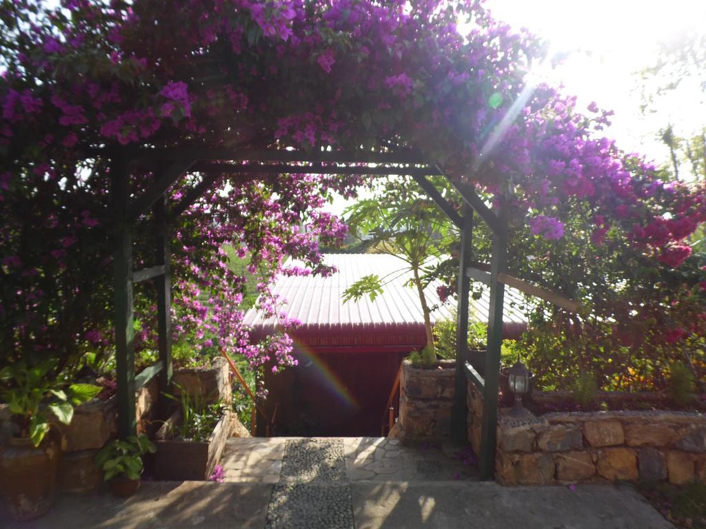 Aythaya Monte Divino Lodge Taunggyi Exterior photo